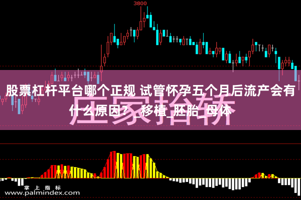 股票杠杆平台哪个正规 试管怀孕五个月后流产会有什么原因？_移植_胚胎_母体