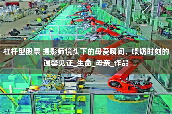 杠杆型股票 摄影师镜头下的母爱瞬间，喂奶时刻的温馨见证_生命_母亲_作品