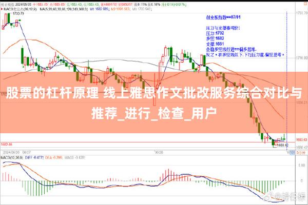 股票的杠杆原理 线上雅思作文批改服务综合对比与推荐_进行_检查_用户