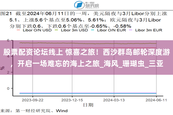 股票配资论坛线上 惊喜之旅！西沙群岛邮轮深度游，开启一场难忘的海上之旅_海风_珊瑚虫_三亚