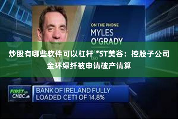 炒股有哪些软件可以杠杆 *ST美谷：控股子公司金环绿纤被申请破产清算