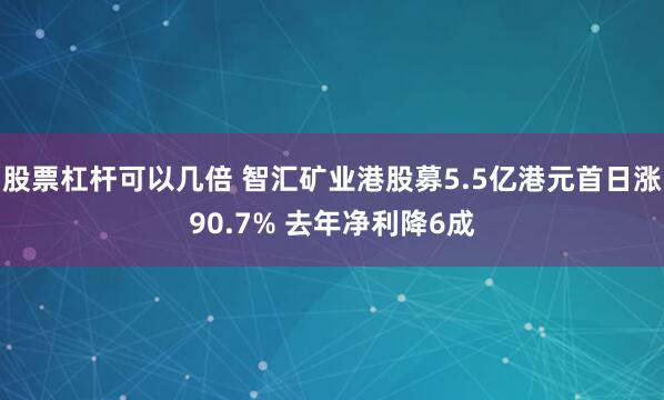 股票杠杆可以几倍 智汇矿业港股募5.5亿港元首日涨90.7% 去年净利降6成